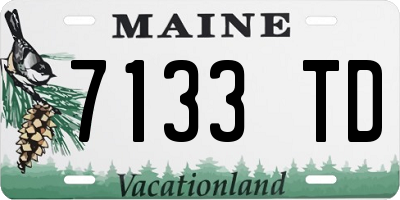 ME license plate 7133TD
