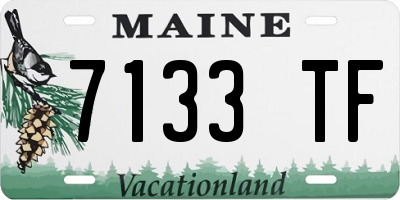 ME license plate 7133TF