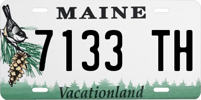 ME license plate 7133TH