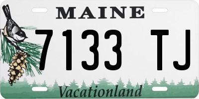 ME license plate 7133TJ