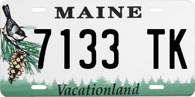 ME license plate 7133TK
