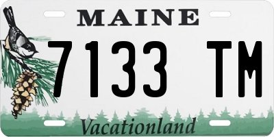 ME license plate 7133TM