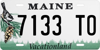 ME license plate 7133TO