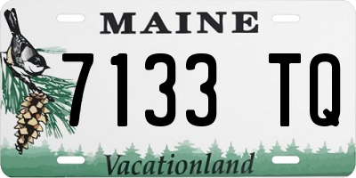 ME license plate 7133TQ