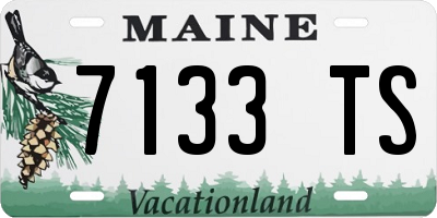 ME license plate 7133TS