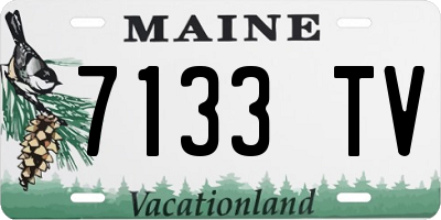 ME license plate 7133TV