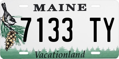 ME license plate 7133TY