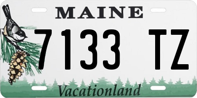ME license plate 7133TZ