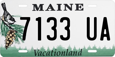 ME license plate 7133UA