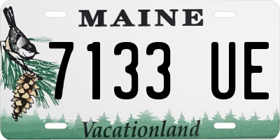 ME license plate 7133UE