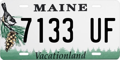 ME license plate 7133UF