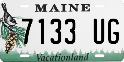 ME license plate 7133UG