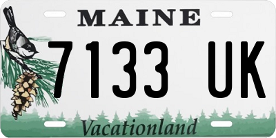 ME license plate 7133UK