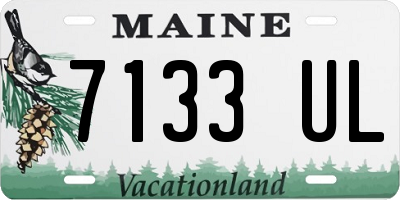 ME license plate 7133UL