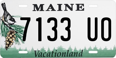 ME license plate 7133UO