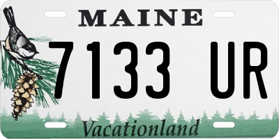 ME license plate 7133UR