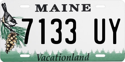 ME license plate 7133UY