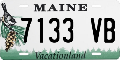 ME license plate 7133VB