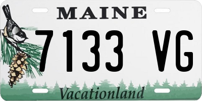 ME license plate 7133VG