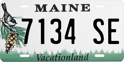 ME license plate 7134SE