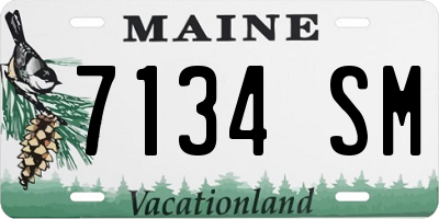 ME license plate 7134SM