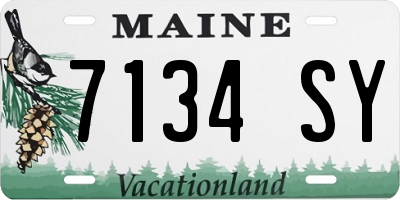 ME license plate 7134SY