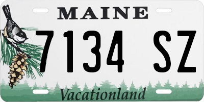 ME license plate 7134SZ