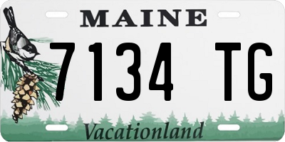 ME license plate 7134TG