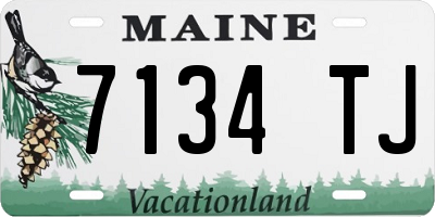 ME license plate 7134TJ