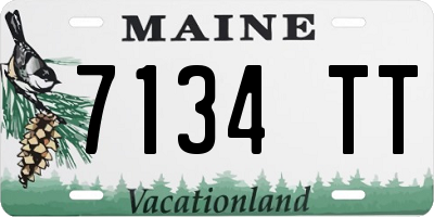 ME license plate 7134TT