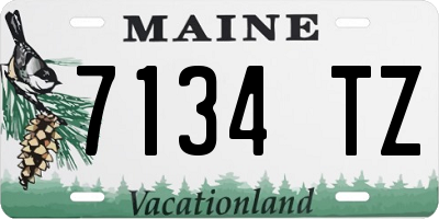 ME license plate 7134TZ
