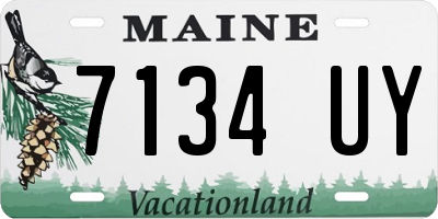 ME license plate 7134UY