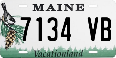 ME license plate 7134VB