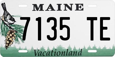 ME license plate 7135TE
