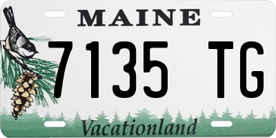 ME license plate 7135TG