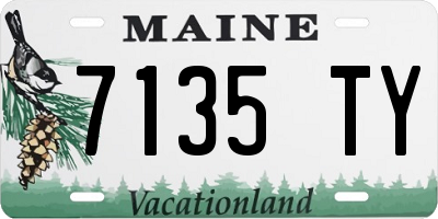 ME license plate 7135TY