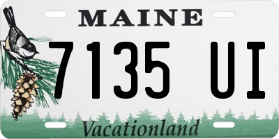 ME license plate 7135UI