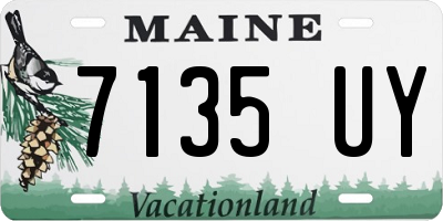 ME license plate 7135UY