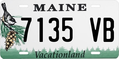 ME license plate 7135VB