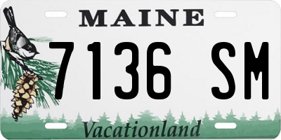 ME license plate 7136SM