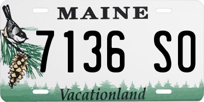 ME license plate 7136SO