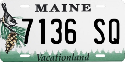 ME license plate 7136SQ
