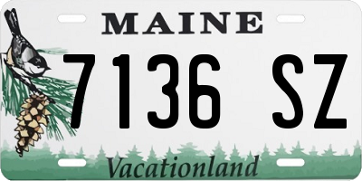 ME license plate 7136SZ