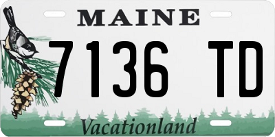 ME license plate 7136TD