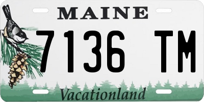 ME license plate 7136TM