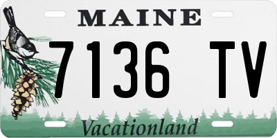 ME license plate 7136TV