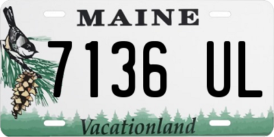 ME license plate 7136UL