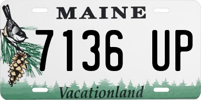 ME license plate 7136UP