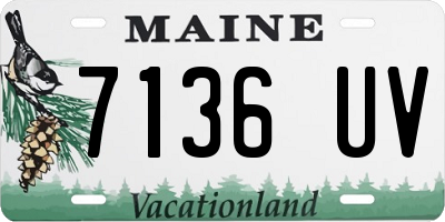 ME license plate 7136UV