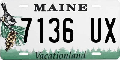 ME license plate 7136UX